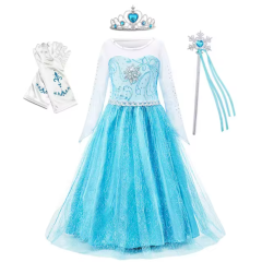 Ice Queen Princess Dress 