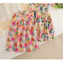 Baby Girl Floral Ruffle Dress