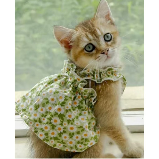 Love Flower Pet Dress for Cats Love Flower Pet Dress for Cats