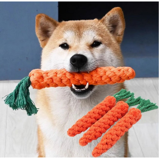 Dog Molar Cleaning Toy with Carrot Design